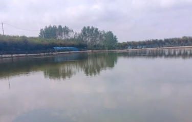 武汉蔡甸金鸡路亚基地