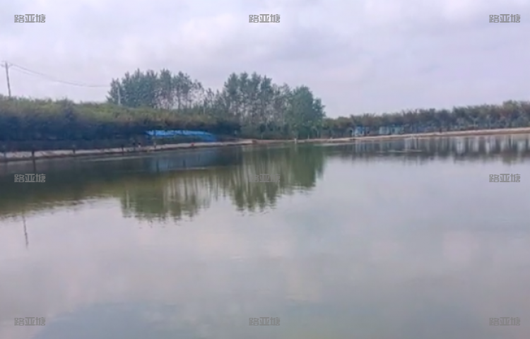 武汉蔡甸金鸡路亚基地