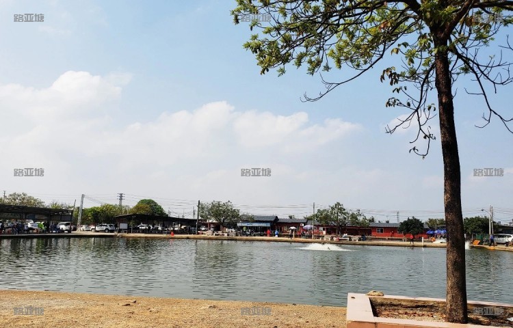 中山合溢海钓场