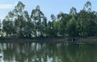 肇庆壹只鸡路亚基地