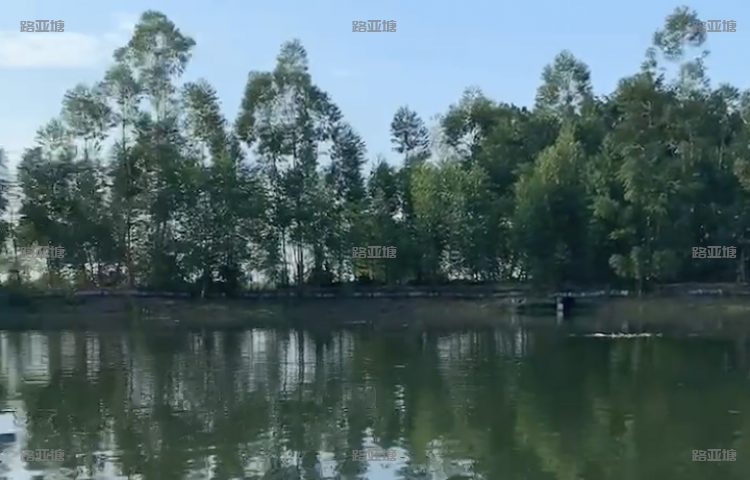 肇庆壹只鸡路亚基地