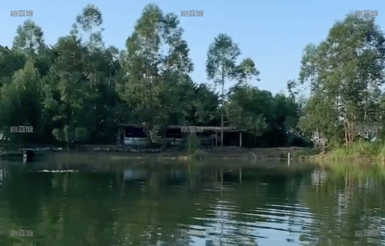 肇庆壹只鸡路亚基地