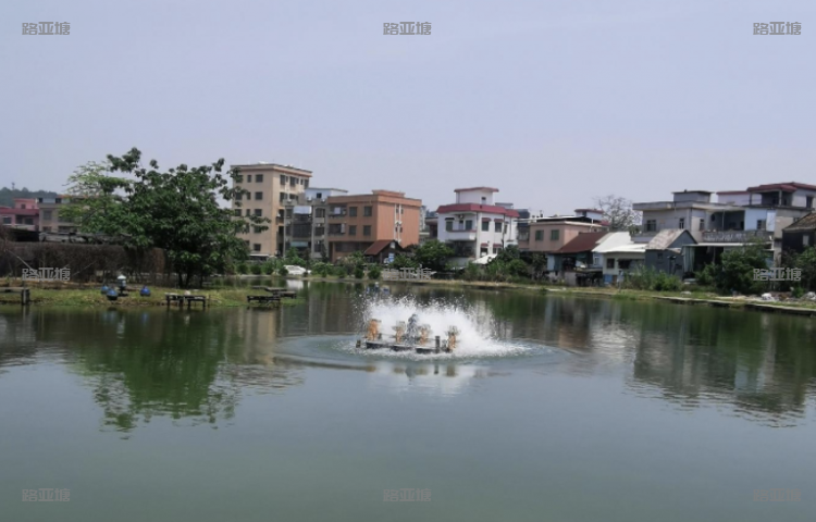 番禺莲花山孤鹰海钓场