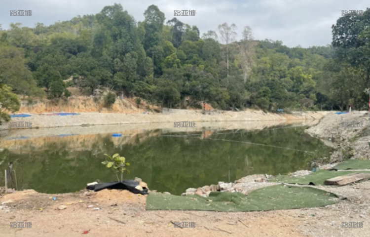 珠海菠萝蜜开心农场