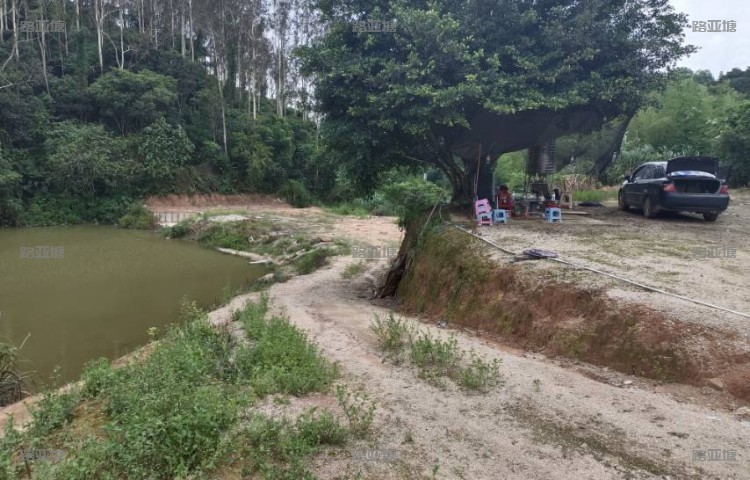 漳州长泰尽兴路亚乐园