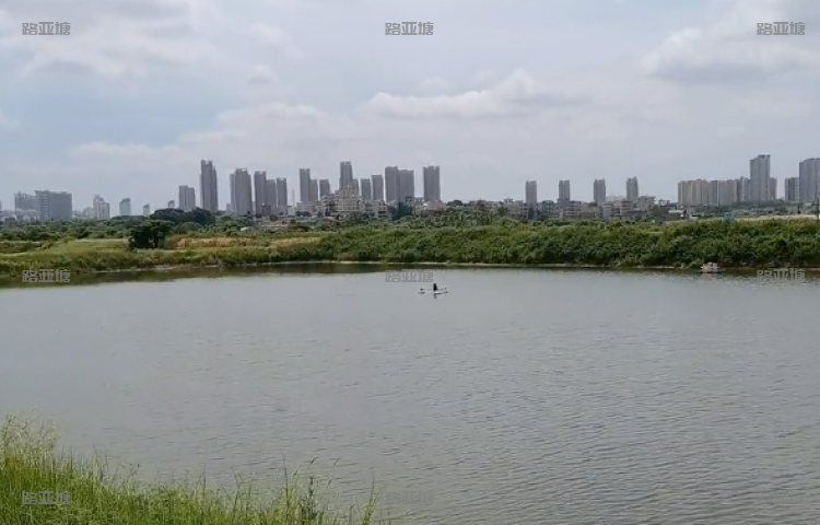 厦门星期八海钓基地