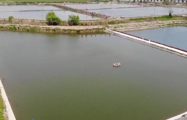 宜兴沙塘鳢路亚垂钓中心