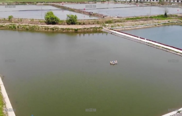 宜兴沙塘鳢路亚垂钓中心