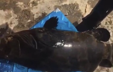 湛江海水路亚塘