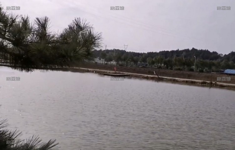 长沙扑辣椒路亚基地