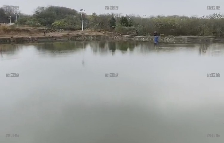南京谷里顺飞路亚大货钓场