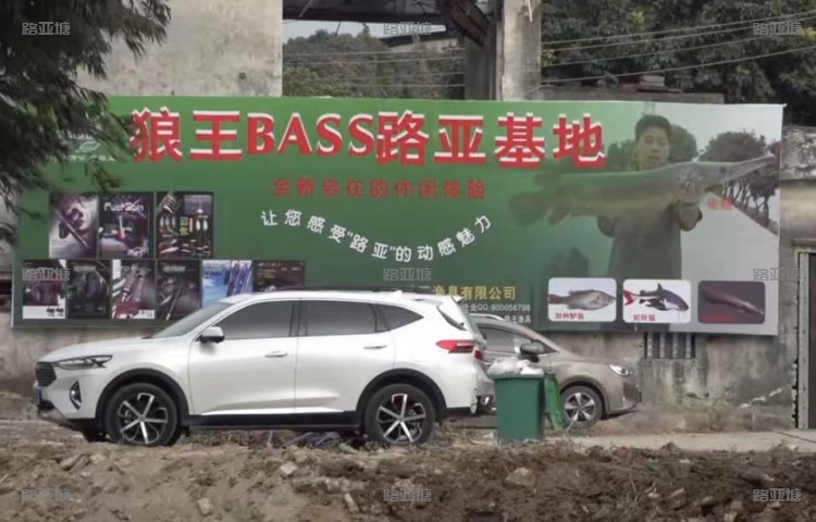 广州狼王bass路亚基地
