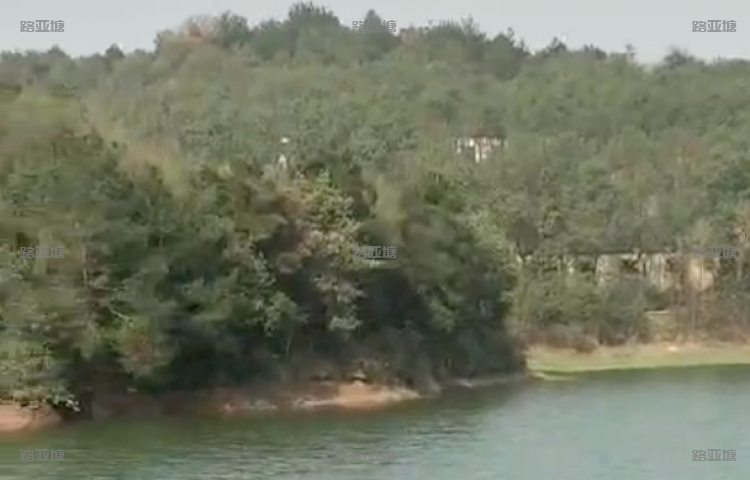 长沙尚愉生态路亚基地