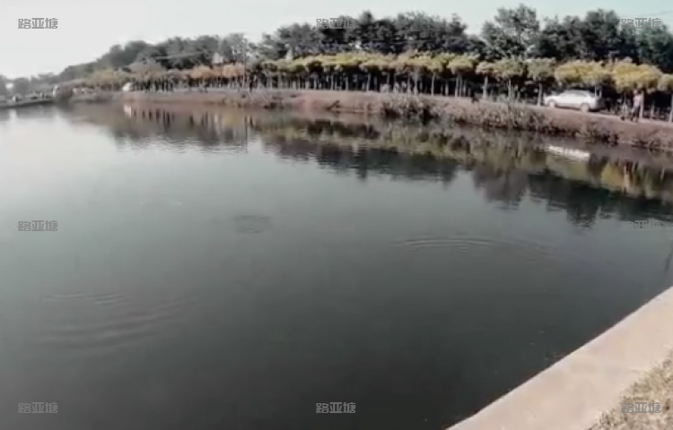 天津天空路亚俱乐部