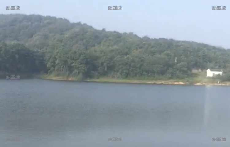 南京象鼻山书库