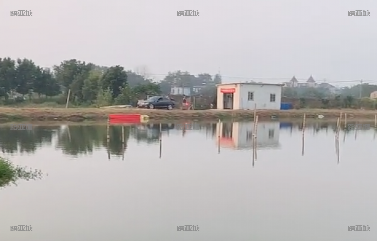 嘉兴不倒翁路亚基地