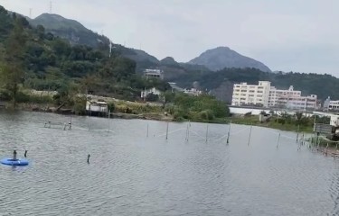 温州小张路亚路亚基地