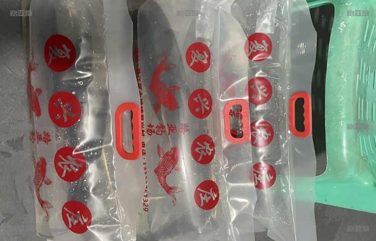 重庆复兴农庄路亚钓场
