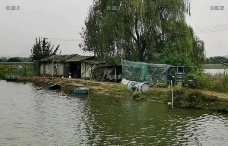武汉花开富鳜路亚基地