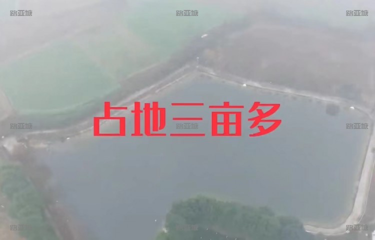 德阳世外龙泉路亚基地
