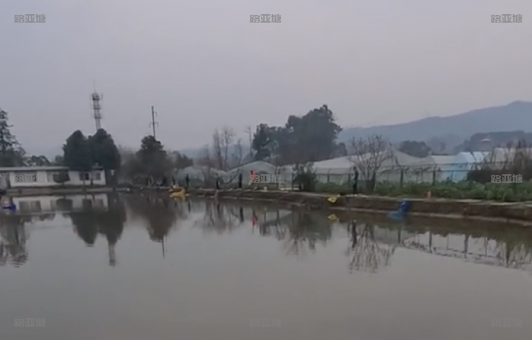 成都洛带红鱼庄