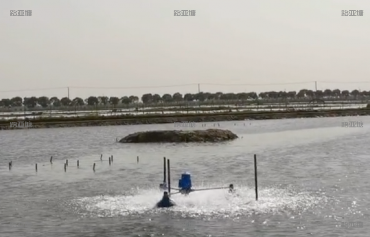 苏州光华路亚基地