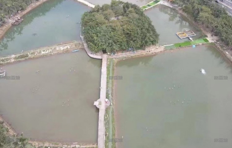 广州砖头哥海钓场