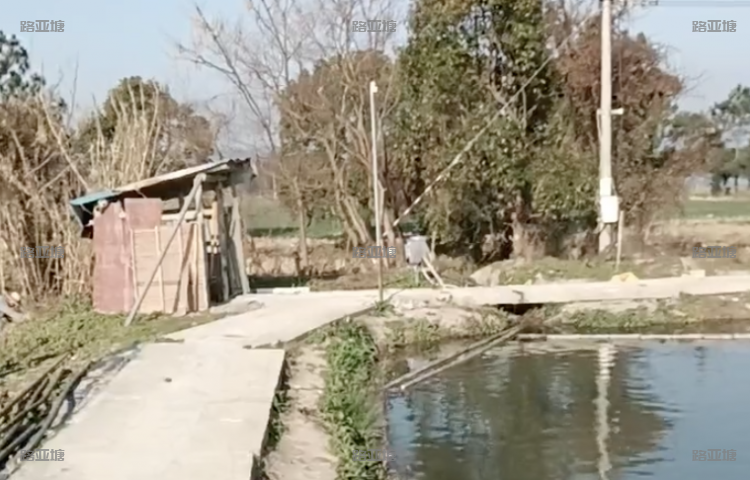 宁波路乐路亚基地