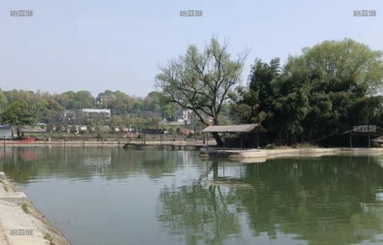 长沙中岭国际垂钓基地