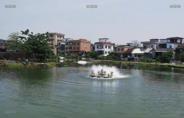 番禺莲花山孤鹰海钓场