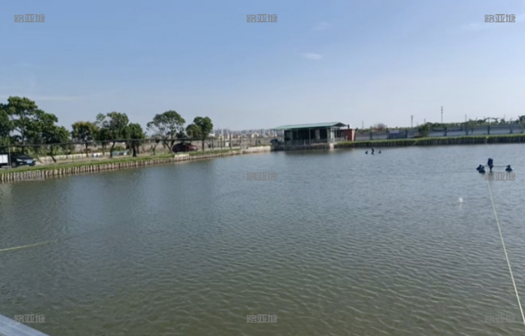 广州海记路亚综合场