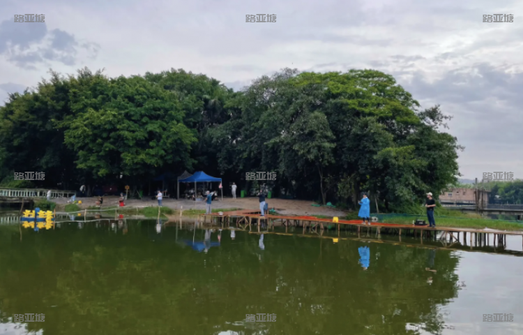 深圳萤火虫路亚基地