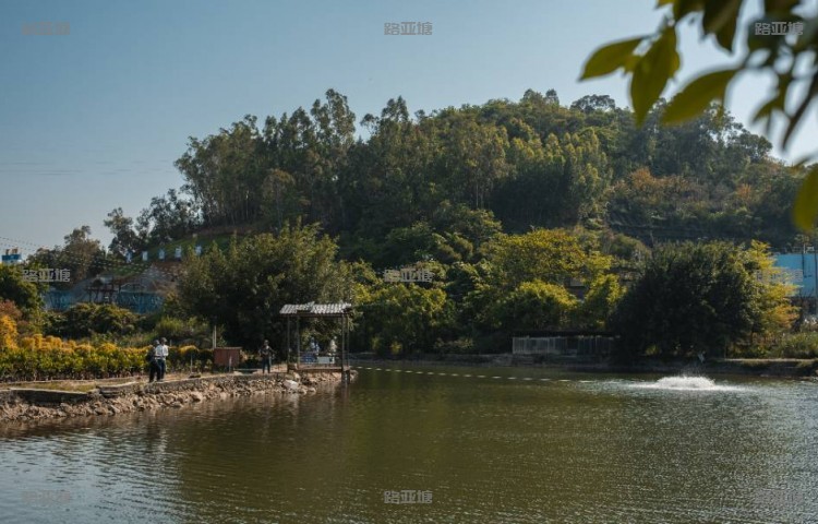 厦门竺缘路亚训练营