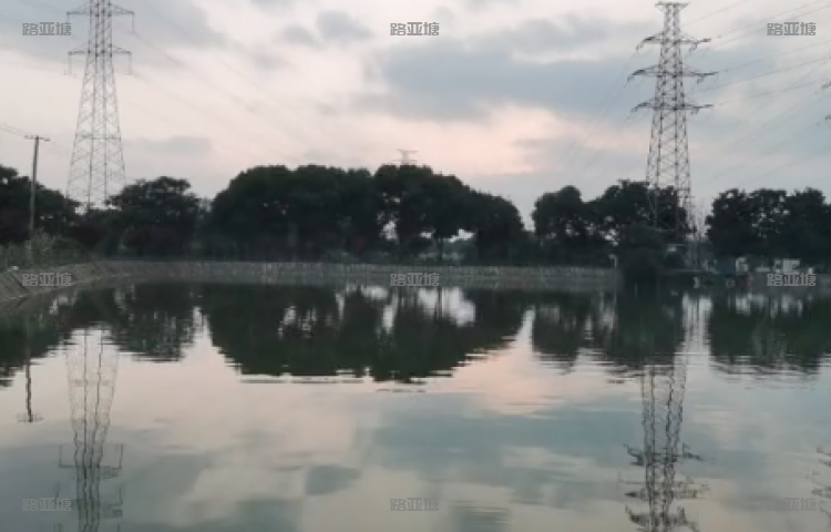 常州蓝色雨路亚基地