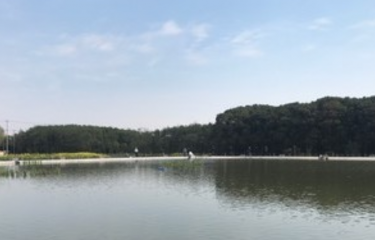 上海隆德岐路亚