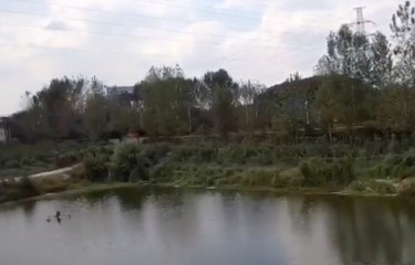 常州武进港路亚基地