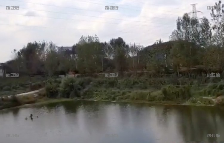 常州武进港路亚基地