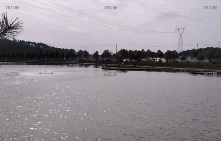 长沙扑辣椒路亚基地