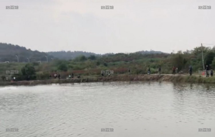 武汉灵泉路亚钓场