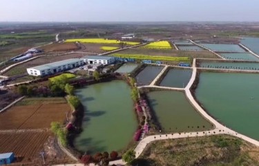 合肥圣水湖畔路亚基地