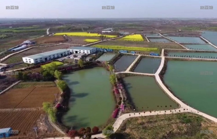 合肥圣水湖畔路亚基地