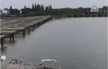 昆山张果老路亚塘