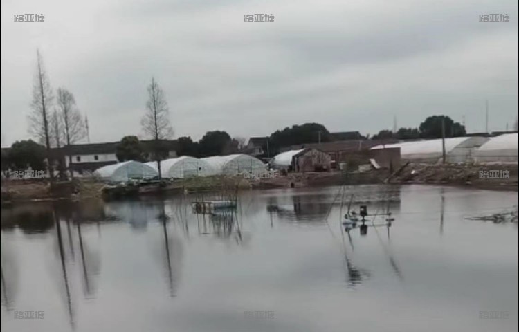 上海灰太狼鱼之乐路亚