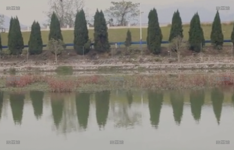 杭州阿拉丁路亚钓场