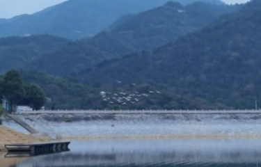 杭州拓野路亚基地