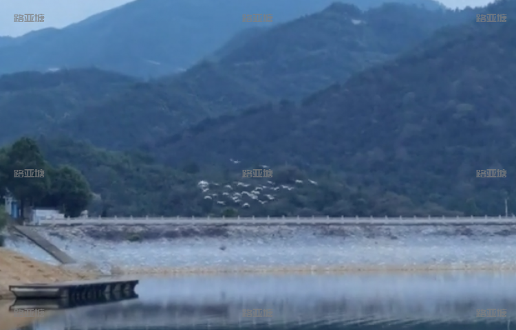 杭州拓野路亚基地