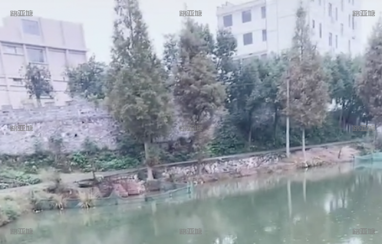 金华浦江天仙塘路亚基地