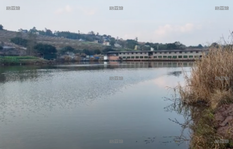 永川凤凰沟路亚基地