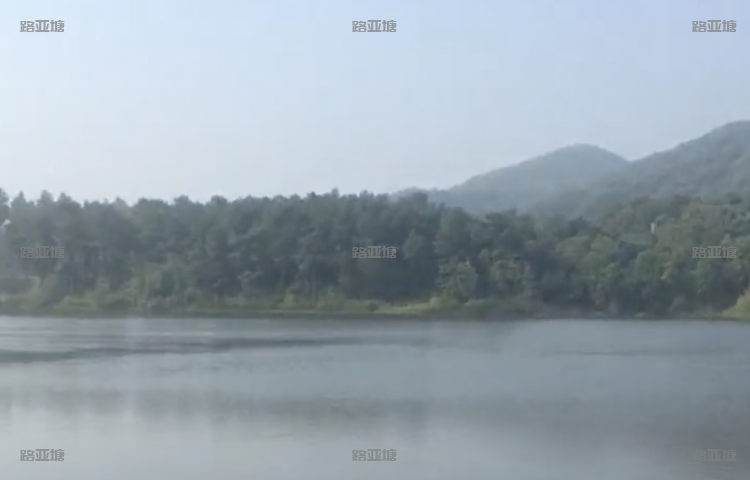 南京象鼻山书库