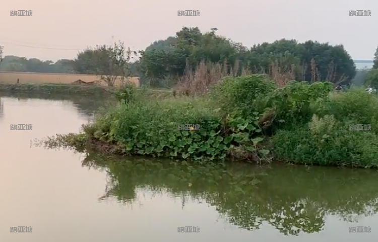 嘉兴不倒翁路亚基地